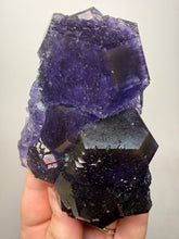 Load image into Gallery viewer, High-Grade “Tanzanite” Fluorite Cluster — Quan Zhou, Yongchun County, Fujian, China | Collector Mineral Specimen
