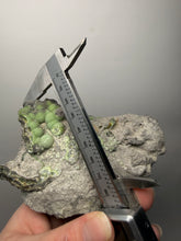 Load image into Gallery viewer, High-Grade Green Wavellite Collectors Specimen - Radiating Botryoidal Crystal Formation - Arkansas, USA