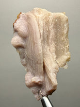 Load image into Gallery viewer, “Goblin Chalcedony” Pink & Orange Druzy Botryoidal Stalactites— Tichka Massif, High Atlas, Morocco