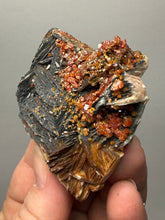 Load image into Gallery viewer, Natural Vanadinite on Matrix | Collector Mineral Specimen | Morocco