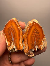 Load image into Gallery viewer, High-Grade Indonesian Sumatra Agate Pair – Vibrant Banded Chalcedony with Rich Color Zoning | Ethical Lapidary & Collector Display Specimens