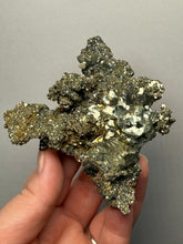 Load image into Gallery viewer, Marcasite, Pyrite & Barite Cabinet Specimen | Bounhas Mine, Oumjrane, Morocco