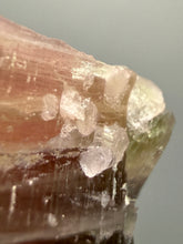 Load image into Gallery viewer, Raw Bi-Color Tourmaline Crystal Specimen | Ocean View Mine, Pala, California, USA