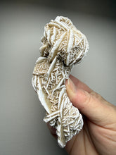 Load image into Gallery viewer, Desert Rose Selenite (Gypsum) — Mineral Display Specimen | Mexico