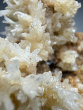 Load image into Gallery viewer, High-Grade Coral Aragonite Crystal Specimen – Wenshan Mine, Yunnan, China