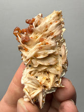 Load image into Gallery viewer, Natural Vanadinite on Matrix | Collector Mineral Specimen | Morocco