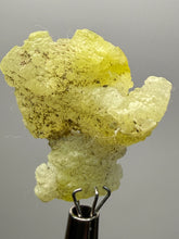 Load image into Gallery viewer, Vibrant Yellow Brucite Thumbnail Mineral Specimen | Collector Crystal from Killa Saifullah District in Balochistan Province, Pakistan