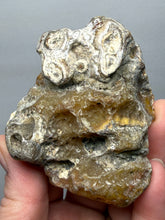 Load image into Gallery viewer, Premium Sumatra Agate (Banded Chalcedony) Display Specimen | Indonesia