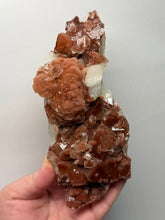 Load image into Gallery viewer, Rare Red Apophyllite + Druzy Red Stilbite Flowers — Deccan Traps, India