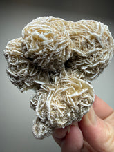 Load image into Gallery viewer, Desert Rose Selenite (Gypsum) — Mineral Display Specimen | Mexico