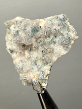 Load image into Gallery viewer, Blue-Green Chrysocolla in Botryoidal Chalcedony Cabinet Specimen | Indonesia