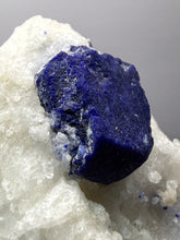 Load image into Gallery viewer, Afghan Lazurite Specimen | Deep Blue Lapis-Grade Crystal on Matrix | Collector Display Mineral