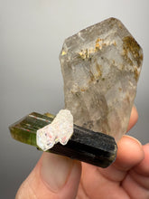 Load image into Gallery viewer, Dark Green Cap Stak Nala Tourmaline w Cleavelandite and Quartz Matrix – Haramosh Mountains, Pakistan