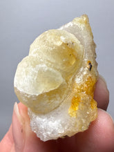 Load image into Gallery viewer, Rare Botryoidal Yellow Fluorite on Quartz Matrix Collector Mineral Specimen – Maharashtra, India
