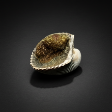 Load image into Gallery viewer, Bivalve (Pelecypoda) Fossil Sea Shell with Chalcopyrite | Mineralized Fossil Specimen | Indonesia