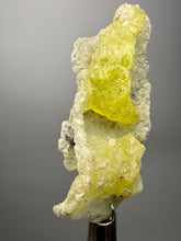 Load image into Gallery viewer, Vibrant Yellow Brucite Thumbnail Mineral Specimen | Collector Crystal from Killa Saifullah District in Balochistan Province, Pakistan