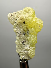 Load image into Gallery viewer, Vibrant Yellow Brucite Thumbnail Mineral Specimen | Collector Crystal from Killa Saifullah District in Balochistan Province, Pakistan