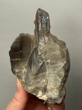 Load image into Gallery viewer, Natural Dark Smoky Quartz | Mineral Mountains UT | Raw Quartz Crystal Collector Specimen