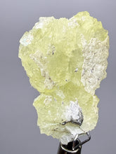 Load image into Gallery viewer, Vibrant Yellow Brucite Thumbnail Mineral Specimen | Collector Crystal from Killa Saifullah District in Balochistan Province, Pakistan