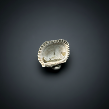 Load image into Gallery viewer, Bivalve (Pelecypoda) Fossil Sea Shell with Chalcopyrite | Mineralized Fossil Specimen | Indonesia
