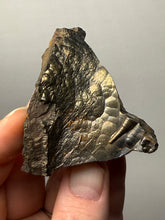 Load image into Gallery viewer, Botryoidal Stalactite Goethite (Iron Oxyhydroxide) Display Specimen | Turkey