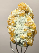Load image into Gallery viewer, Hessonite Garnet Cluster on Matrix – Natural Collector Specimen from Pakistan | High-Grade Orange-Red Garnet Crystals