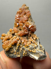 Load image into Gallery viewer, Natural Vanadinite on Matrix | Collector Mineral Specimen | Morocco