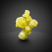 Load image into Gallery viewer, Vibrant Yellow Brucite Thumbnail Mineral Specimen | Collector Crystal from Killa Saifullah District in Balochistan Province, Pakistan