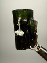 Load image into Gallery viewer, Dark Green Stak Nala Tourmaline and Cleavelandite – Haramosh Mountains, Pakistan | Thumbnail Specimen