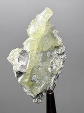 Load image into Gallery viewer, Vibrant Yellow Brucite Thumbnail Mineral Specimen | Collector Crystal from Killa Saifullah District in Balochistan Province, Pakistan