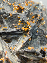 Load image into Gallery viewer, Natural Vanadinite on Matrix | Collector Mineral Specimen | Morocco