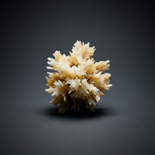 Load image into Gallery viewer, High-Grade Flower Calcite Crystal Specimen | Wenshan Mine, Yunnan, China | Collector Mineral Display