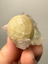 Load image into Gallery viewer, Rare Botryoidal Yellow Fluorite on Quartz Matrix Collector Mineral Specimen – Maharashtra, India