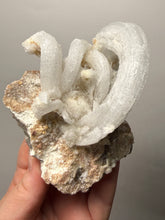 Load image into Gallery viewer, Moroccan Ram’s Horn Selenite (Gypsum) Crystal Display Specimen