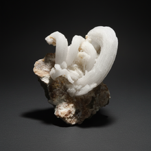 Load image into Gallery viewer, Moroccan Ram’s Horn Selenite (Gypsum) Crystal Display Specimen