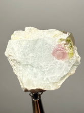 Load image into Gallery viewer, Watermelon Tourmaline on Matrix – Collector Mineral Specimen from Pakistan