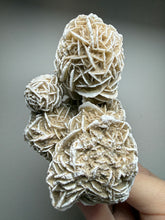 Load image into Gallery viewer, Desert Rose Selenite (Gypsum) — Mineral Display Specimen | Mexico