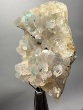 Load image into Gallery viewer, Blue-Green Chrysocolla in Botryoidal Chalcedony Cabinet Specimen | Indonesia