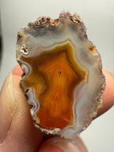 Load image into Gallery viewer, Lot of 9 Small Malawi Agate Halves – Polished Rare Colorful Collector Specimens