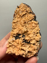 Load image into Gallery viewer, Rose Botryoidal Chalcedony Agate from Morocco – Druzy Cabinet Specimen