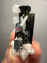 Load image into Gallery viewer, Blue Cap Dark Green Stak Nala Tourmaline on Cleavelandite Matrix – Haramosh Mountains, Pakistan