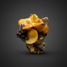 Load image into Gallery viewer, High-Grade Orange Wulfenite Collector Display Specimen | La Morita Mine, Chihuahua, Mexico