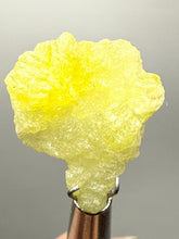 Load image into Gallery viewer, Vibrant Yellow Brucite Thumbnail Mineral Specimen | Collector Crystal from Killa Saifullah District in Balochistan Province, Pakistan