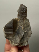 Load image into Gallery viewer, Natural Dark Smoky Quartz | Mineral Mountains UT | Raw Quartz Crystal Collector Specimen