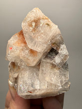 Load image into Gallery viewer, Rare Red Apophyllite Crystal Cluster – High Grade Collector Mineral Specimen | India