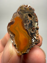 Load image into Gallery viewer, Lot of 4 Small Malawi Agate Halves – Polished Rare Colorful Collector Specimens