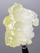 Load image into Gallery viewer, Vibrant Yellow Brucite Thumbnail Mineral Specimen | Collector Crystal from Killa Saifullah District in Balochistan Province, Pakistan