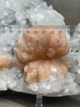 Load image into Gallery viewer, FINE MINERAL | Gem Apophyllite with Spectacular Pink Stilbite Flower | Maharashtra, India