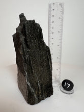 Load image into Gallery viewer, Black Druzy Petrified Wood from Indonesia