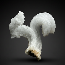 Load image into Gallery viewer, Moroccan Ram’s Horn Selenite (Gypsum) Crystal Display Specimen